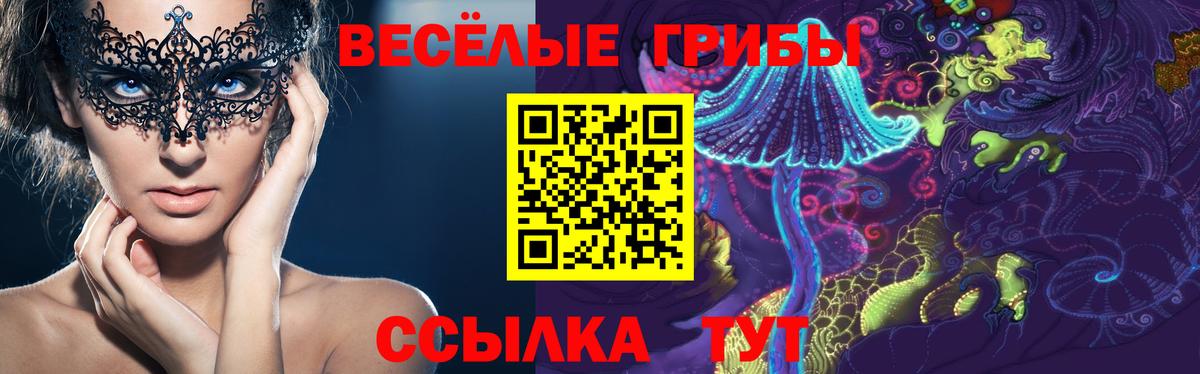 Сергиев Посад  Псилоцибиновые грибы ЛСД  Вход с VPN 